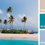 Unveiling the Colours Within: How to Generate a Palette from Your Photos